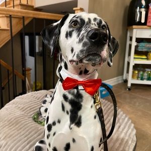 Meet your Posher, Ismahane